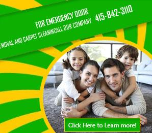 Contact Us | 415-842-3110 | Carpet Cleaning San Rafael, CA